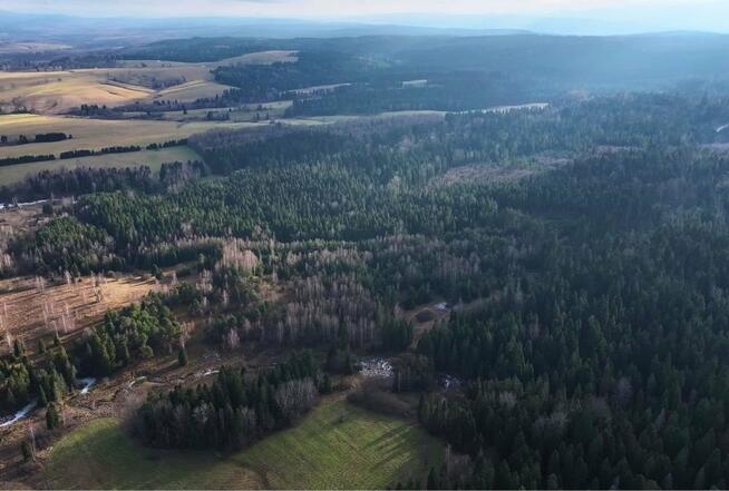 Działka rolna Czarna Lipie