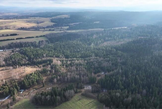 Działka rolna Czarna Lipie