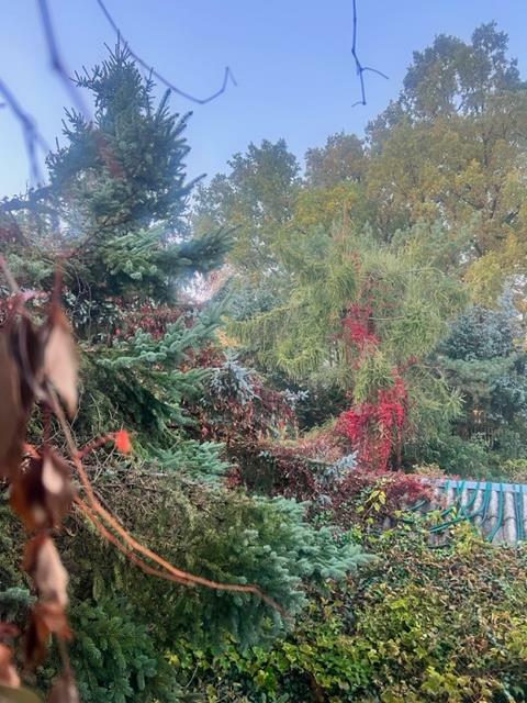 Działka budowlana Warszawa Wesoła