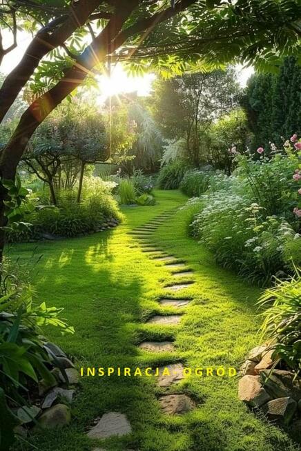 Działka budowlana Nowa Wieś gm. Pasłęk,