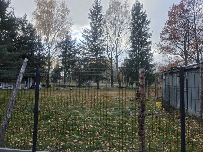 Działka budowlana Stefanówka gm. Wiązowna