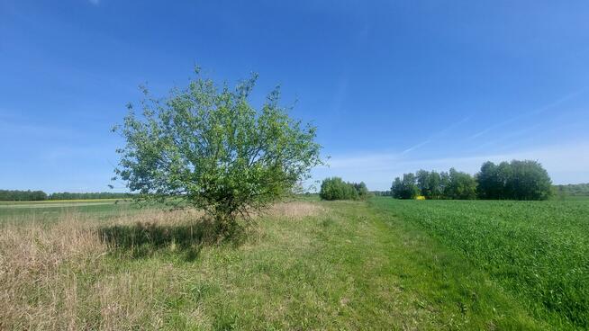 Dratów Kolonia - działka rolno-budowlana, woj. lubelskie