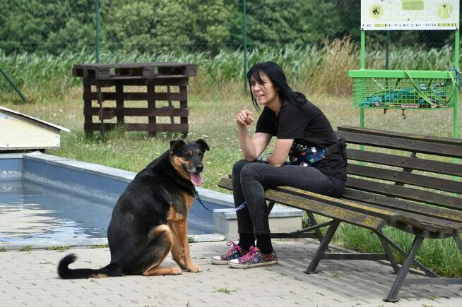 Martagon - lubi spacerować i chodzi przy nodze