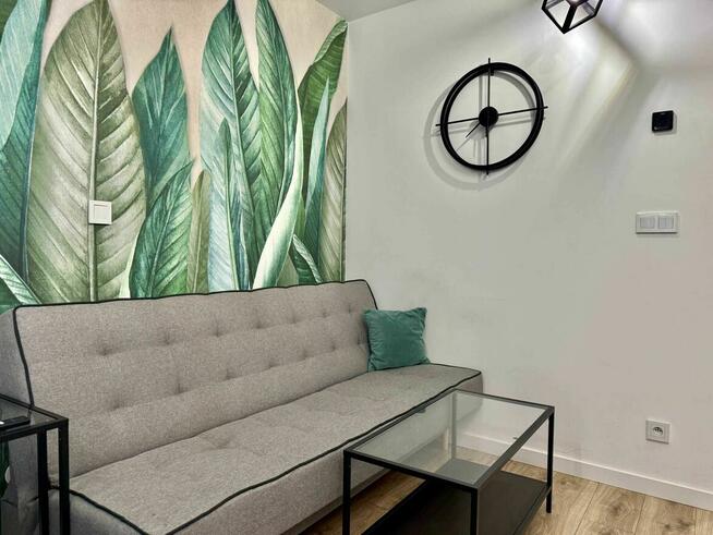 Przytulna kawalerka w centrum Katowic / Internet