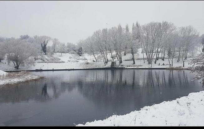 Wynajmę 2-pokojowe mieszkanie – ul. Komuny Paryskiej, Szczec