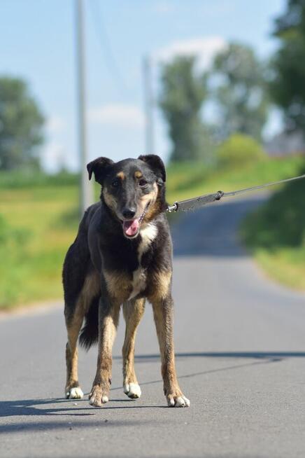 Rafia - ciekawa świata, choć jeszcze troszkę zdystansowana..