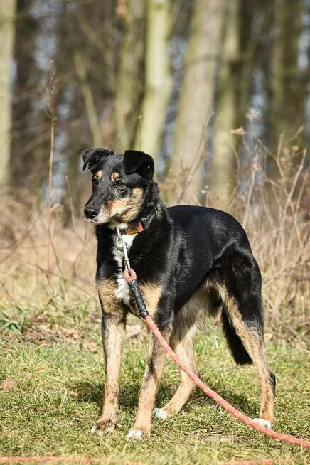 Rafia - ciekawa świata, choć jeszcze troszkę zdystansowana..