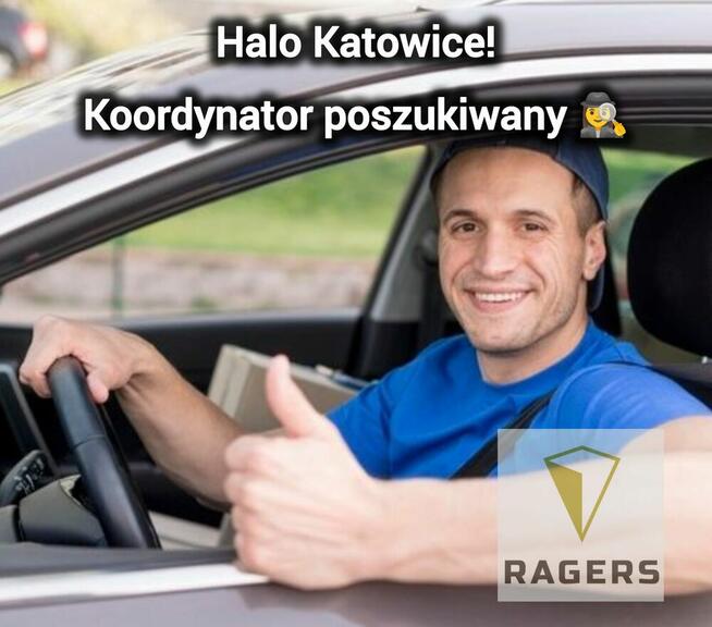 Koordynator pracowników tymczasowych