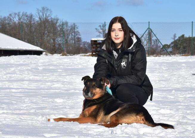 Martagon - lubi spacerować i chodzi przy nodze