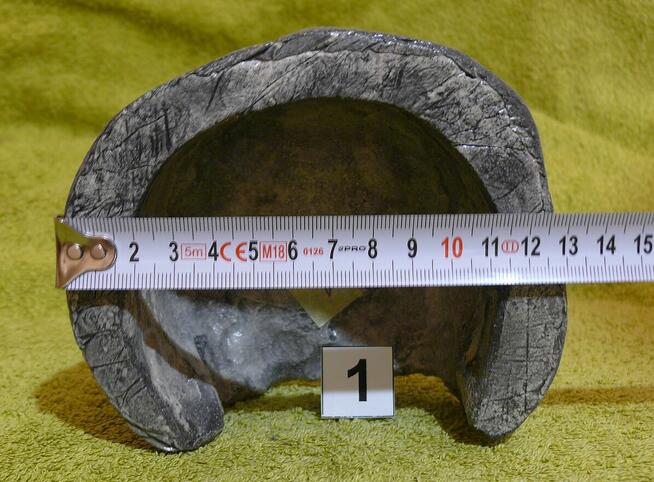 Grota dla ptasznika, żółwia lądowego, albo innego zwierza