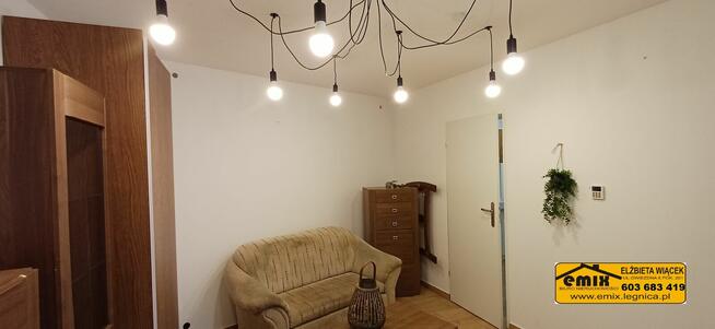 Lokal - dwa mieszkania, parter, po remoncie