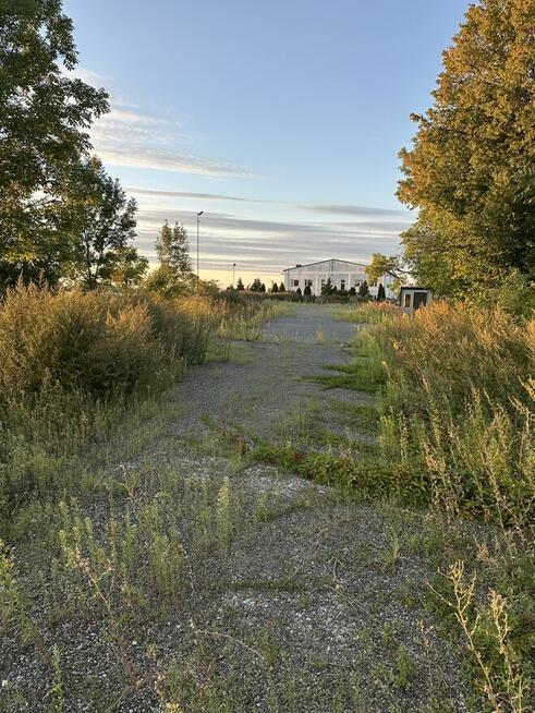 Wynajmę działkę przy głównej drodze DK 91