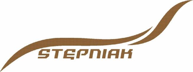 Kierowca C+E tylko po kraju PL