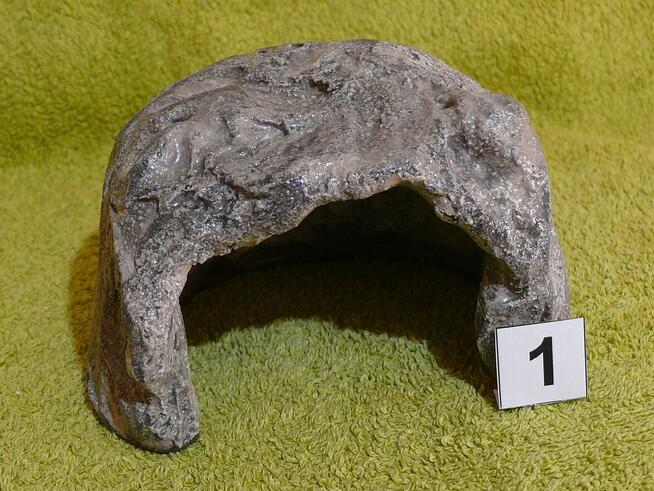 Grota dla ptasznika, żółwia lądowego, albo innego zwierza