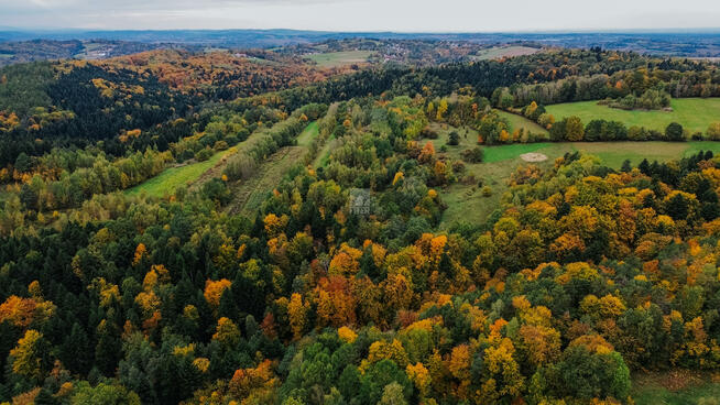 Działka rolna Pogwizdów gm. Bochnia