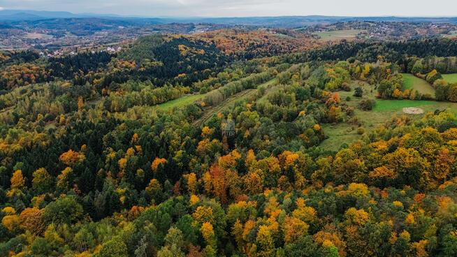 Działka rolna Pogwizdów gm. Bochnia