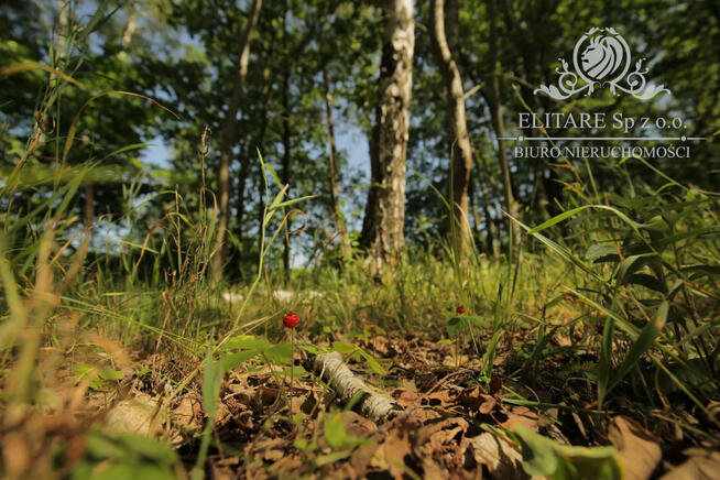 Piękny dom w zabudowie bliźniaczej z ogrzewaniem miejskim! Siechnice