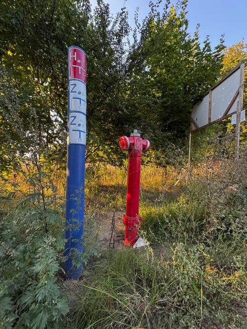 Działka Dołuje gm. Dobra (Szczecińska)