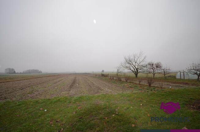 Dom Sokołów Podlaski, Wesoła