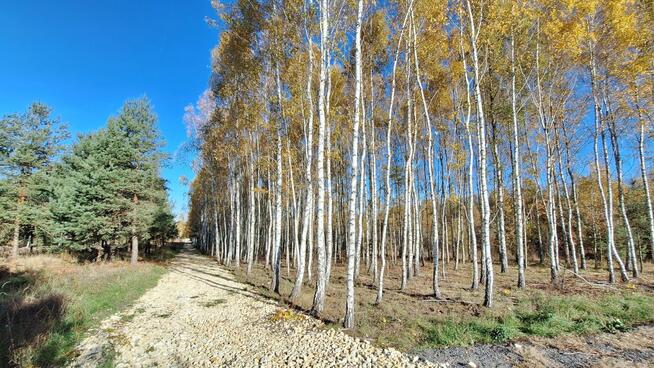 Działka budowlana Częstochowa Mirów,