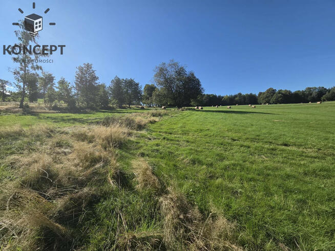 Gierczyn, działka z pięknym widokiem.