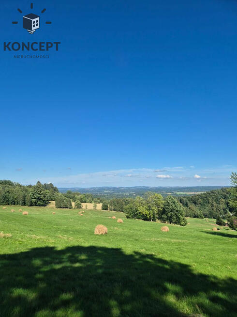 Gierczyn, działka z pięknym widokiem.