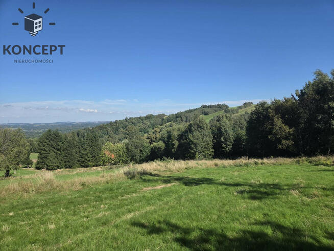 Gierczyn, działka z pięknym widokiem.