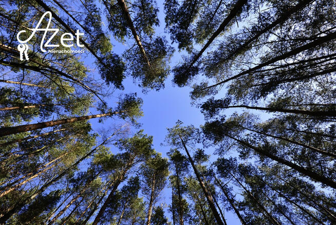 Działka inwestycyjna Tarnopol gm. Narewka Stary Dwór,