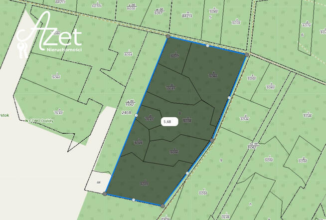 Działka leśna Zawyki gm. Suraż,