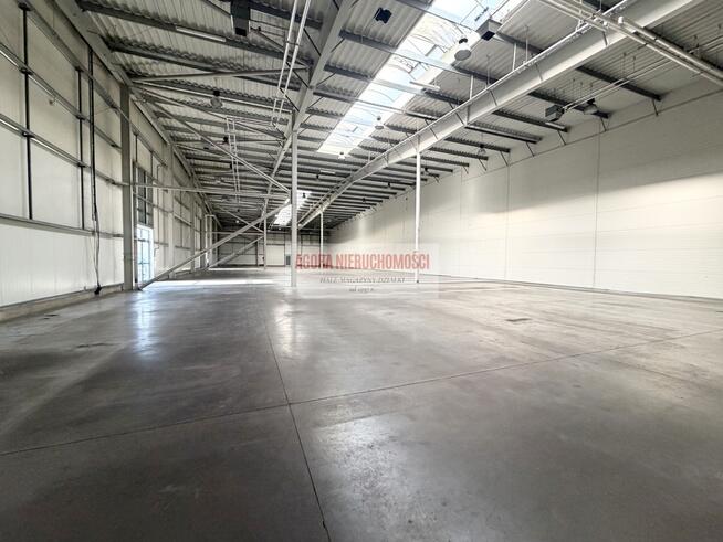 HALA PRODUKCYJNO-MAGAZYNOWA 1600 m2 RYBITWY TRAFO