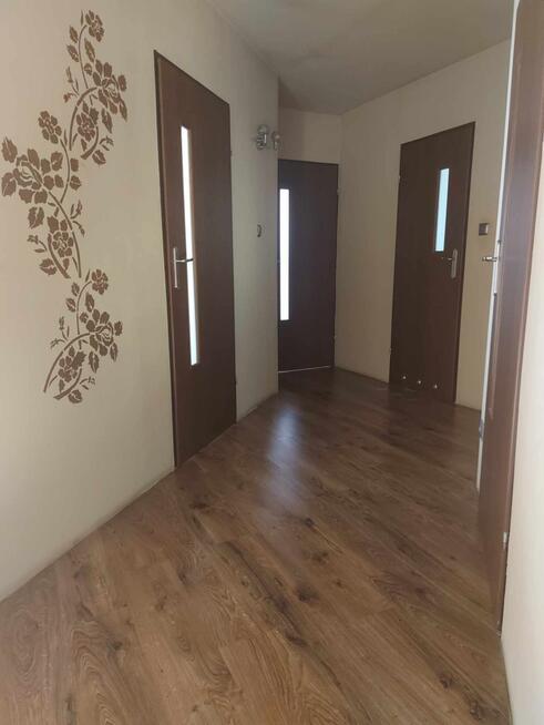 DOM JEDNORODZINNY NA DUŻEJ DZIAŁCE