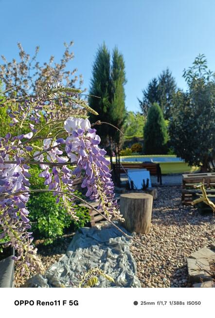 SPRZEDAM DOM Z POTENCJAŁEM