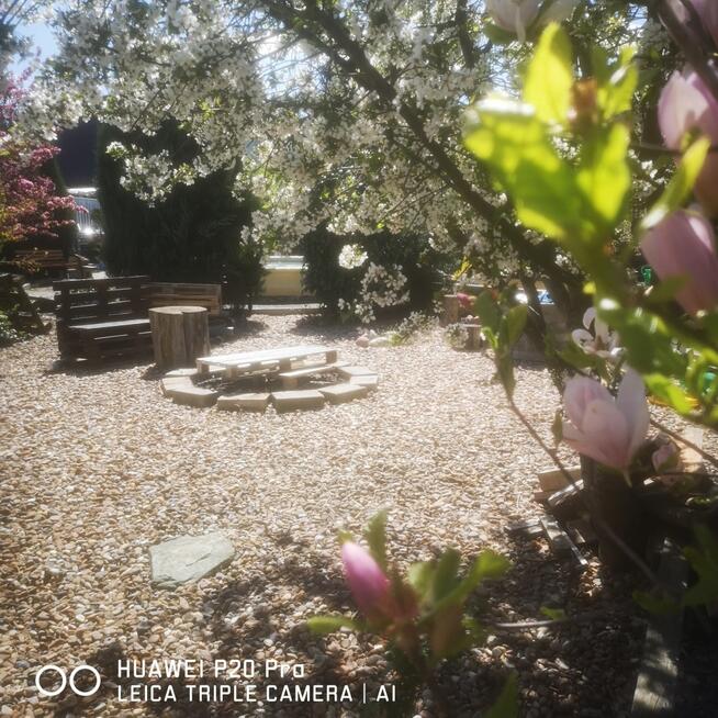 SPRZEDAM DOM Z POTENCJAŁEM