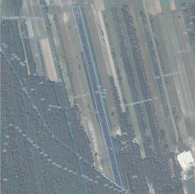 Stajnia/Siedlisko-rekreacja, edukacja jazdy konnej