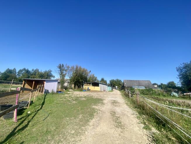 Stajnia/Siedlisko-rekreacja, edukacja jazdy konnej