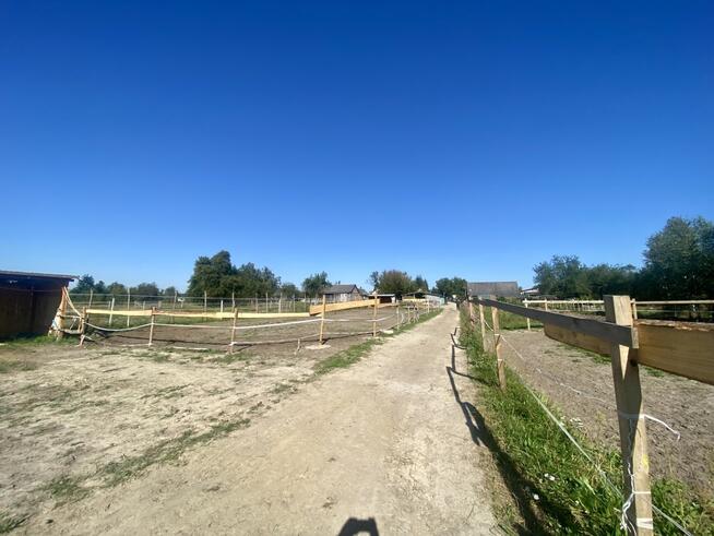 Stajnia/Siedlisko-rekreacja, edukacja jazdy konnej