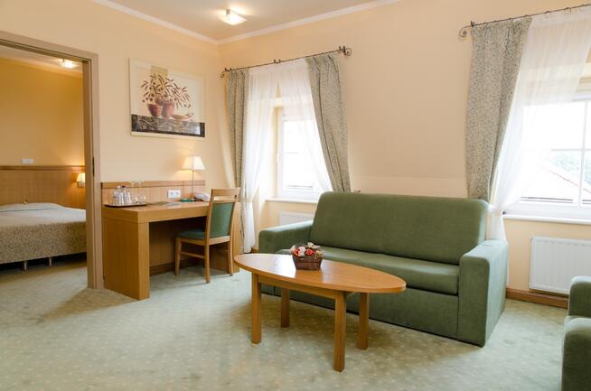 Funkcjonujący hotel na sprzedaż