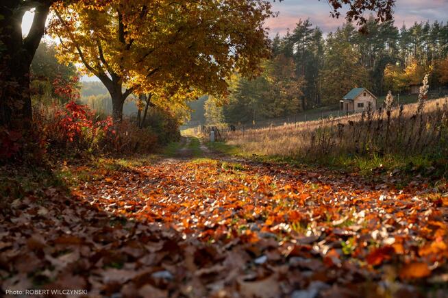 Działka marzeń – tam gdzie cisza ma swój adres