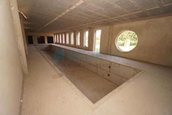 Sprzedam dom, basen, staw, działka 1,25 ha - KONIN