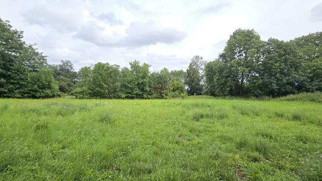 Działka gospodarstwo Bartoszowa gm. Borów