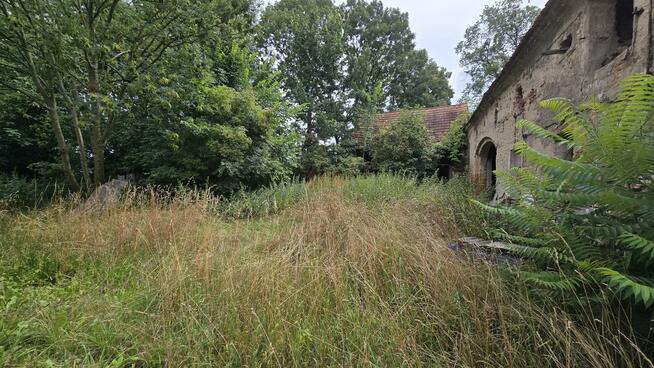 Działka gospodarstwo Bartoszowa gm. Borów