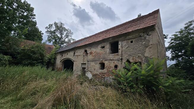 Działka gospodarstwo Bartoszowa gm. Borów