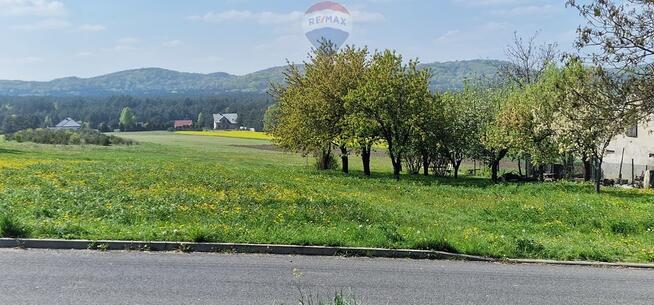 Piękna działka na Jurze Krakowsko-Częstochowskiej
