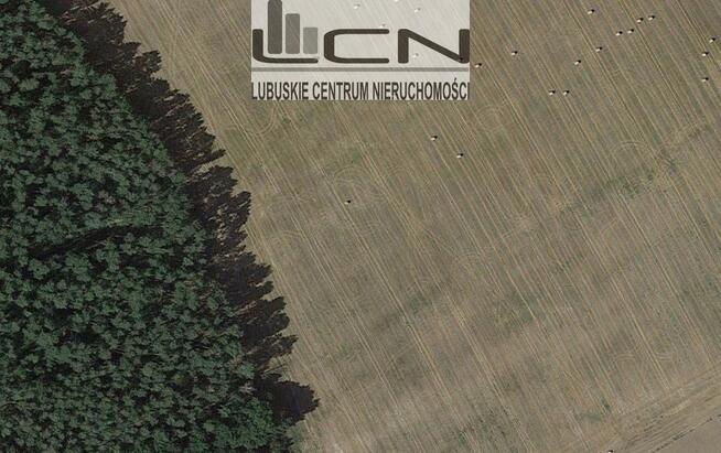 Na sprzedaż działki w Janczewie woj. lubuskie