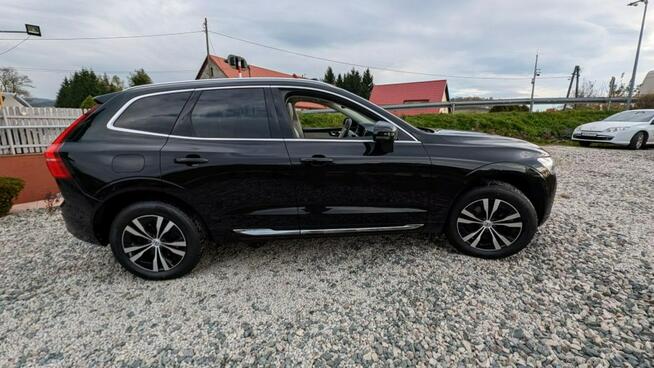 Volvo XC 60 Plug-in 4x4 kamera cofania