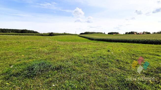 Działka z możliwością zabudowy (3 domy)