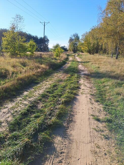 Działka rolna Strzelczyki gm. Szamocin