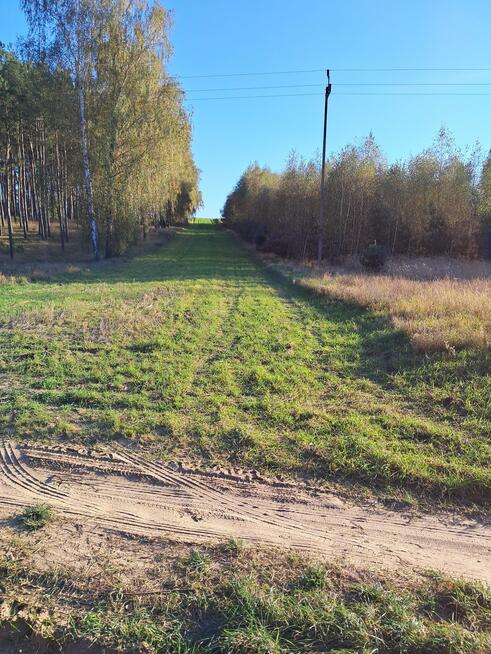 Działka rolna Strzelczyki gm. Szamocin