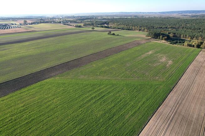 Działka rolna Strzelczyki gm. Szamocin