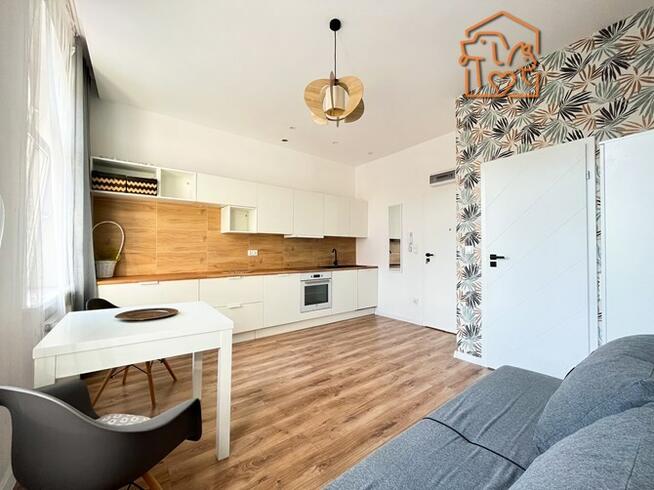 Nowogrodzka 4,Okole,przyjazna zwierzętom kawalerka